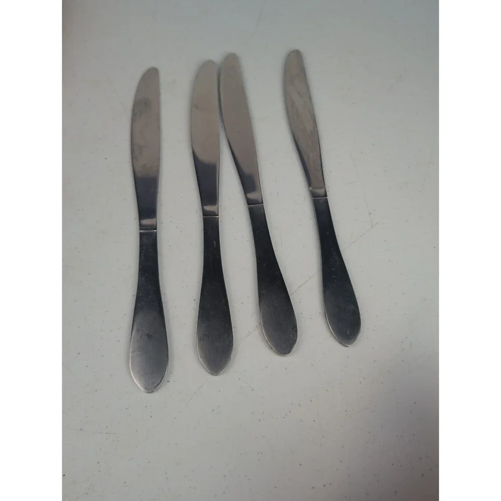 Pfaltzgraff 18/10 Stainless Steel SALISBURY SATIN Lot of 4 Dinner Knives 9 3/8